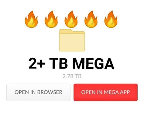 feet mega folder|[MEGA] 31 siterip 2 TB .